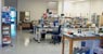 Biologic Process Development